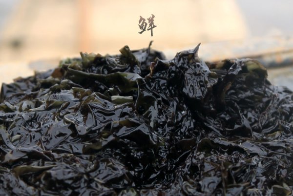 紫菜中为何会有塑料绳、海草杂物？